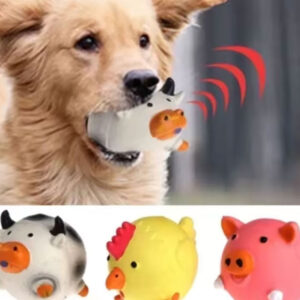 Pet dog vocal toy