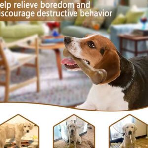 Dog Bone Chews Toys Nearly Indestructible Natural Non-Toxic Anti-bite Puppy Toys For Small Medium Large Dog Pet Chew Game Dental