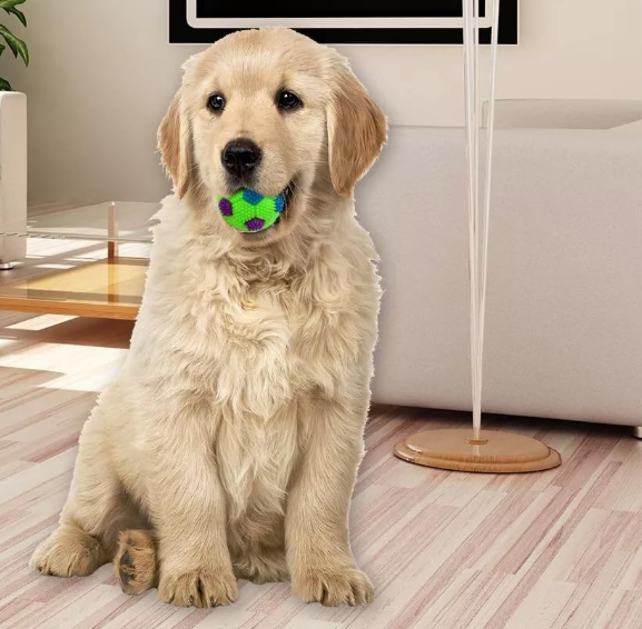 LED Whistle Squeaky Squeaker Sound Ball for Puppy, Dog Pet Chew Playing Rubber Ball Toy Small Pet Only - 1 Pieces - Image 3
